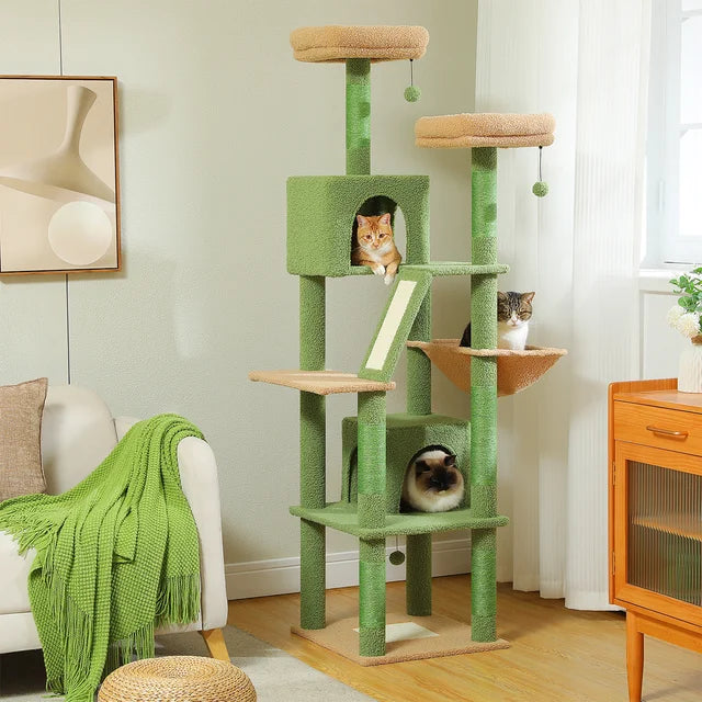 Cats collection