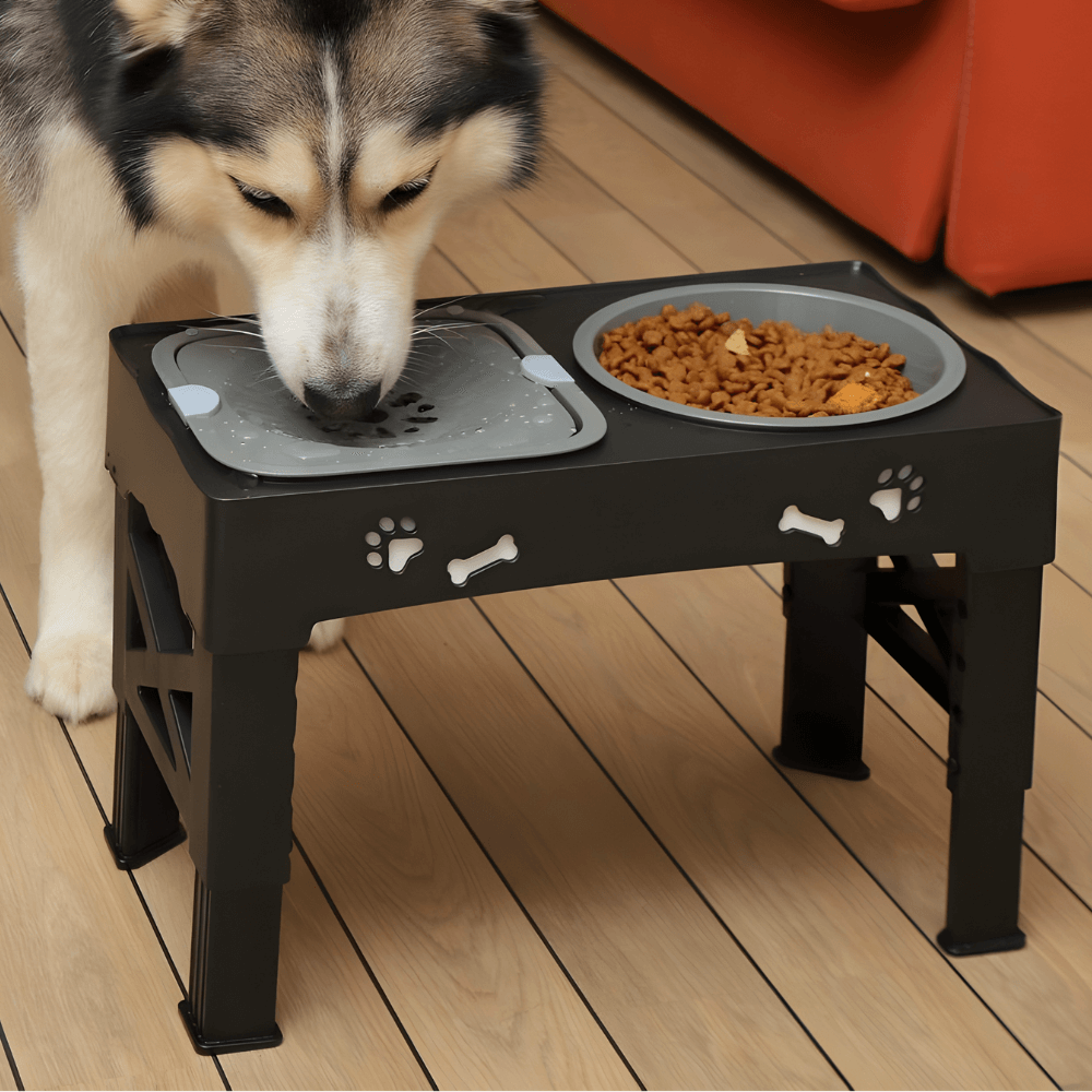Elevated Dog Bowl Stand - maze slow feeder bowl | UMFA