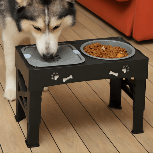 Elevated Dog Bowl Stand - maze slow feeder bowl | UMFA